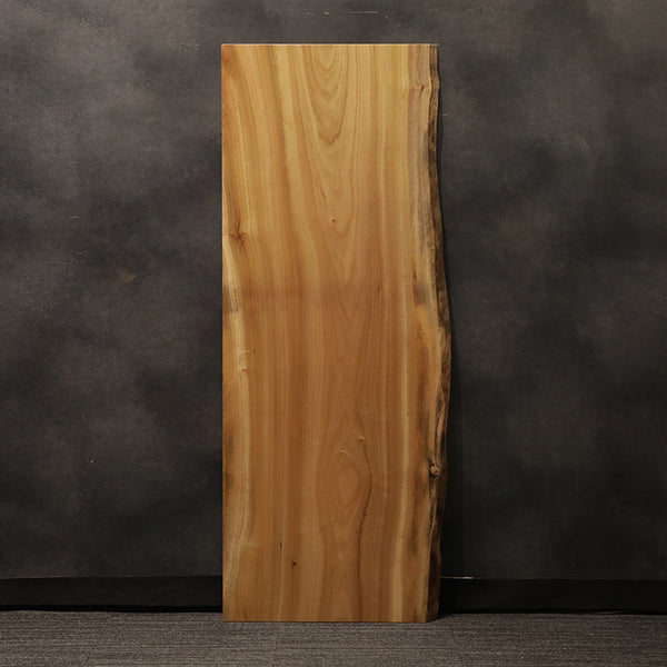 一枚板 クス / 楠 2334-3 (W168.8cm)