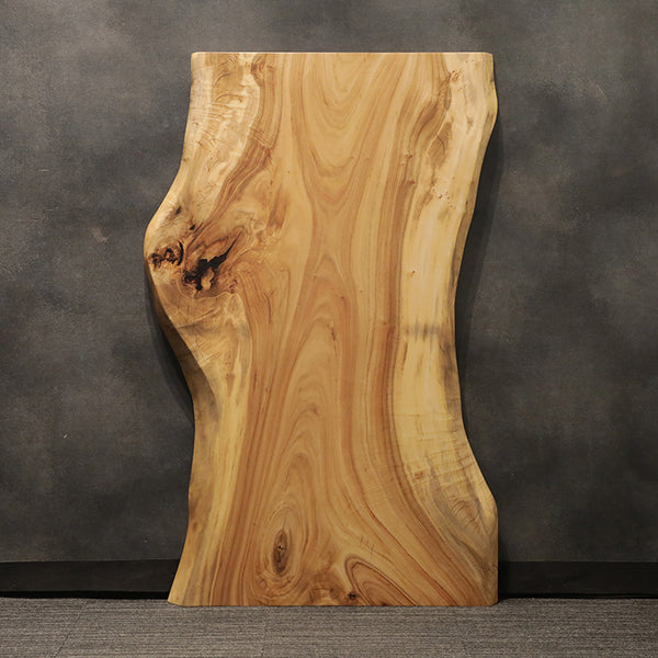 一枚板 クス / 楠 2404-8 (W150cm)