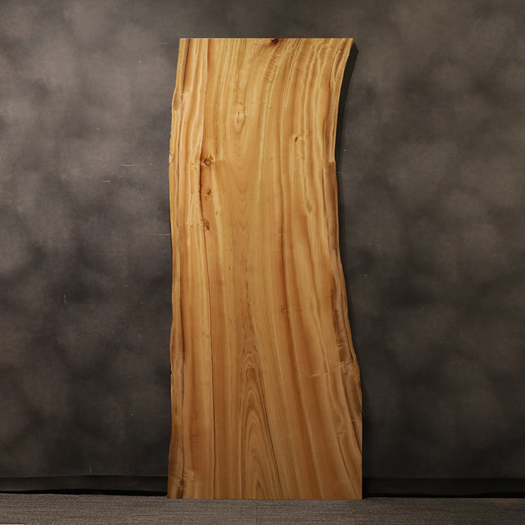 一枚板 クス / 楠 2138-10 (W260cm)