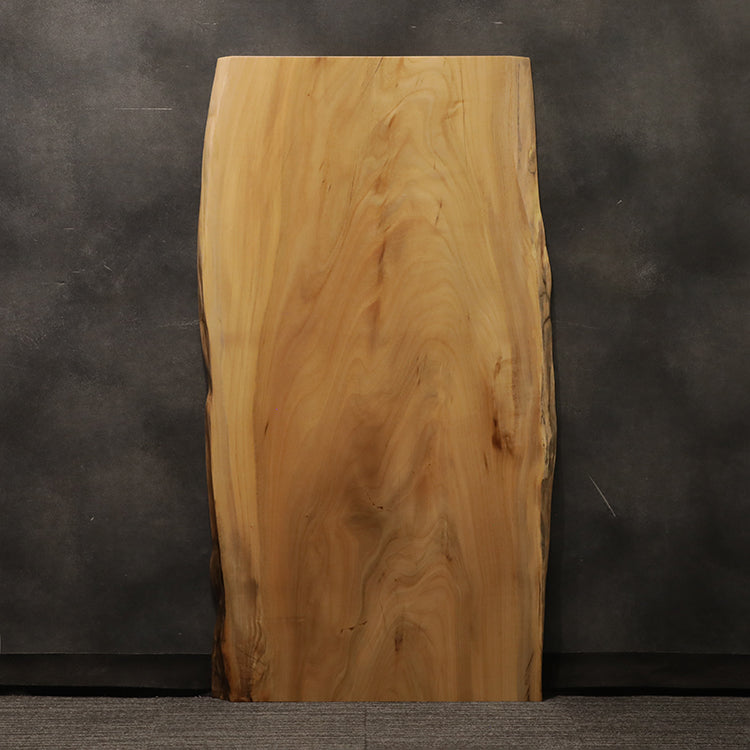 天然　一枚板 一枚板 クス / 楠 6189-2-1 (W160cm)