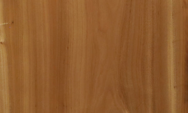 その他樹種