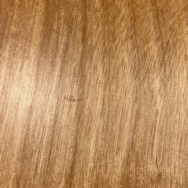 キズ①