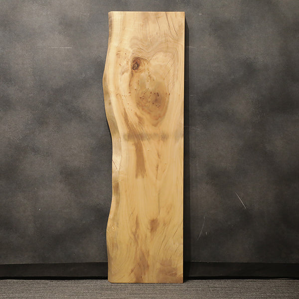 一枚板　クス / 楠　2404-2　(W170cm)