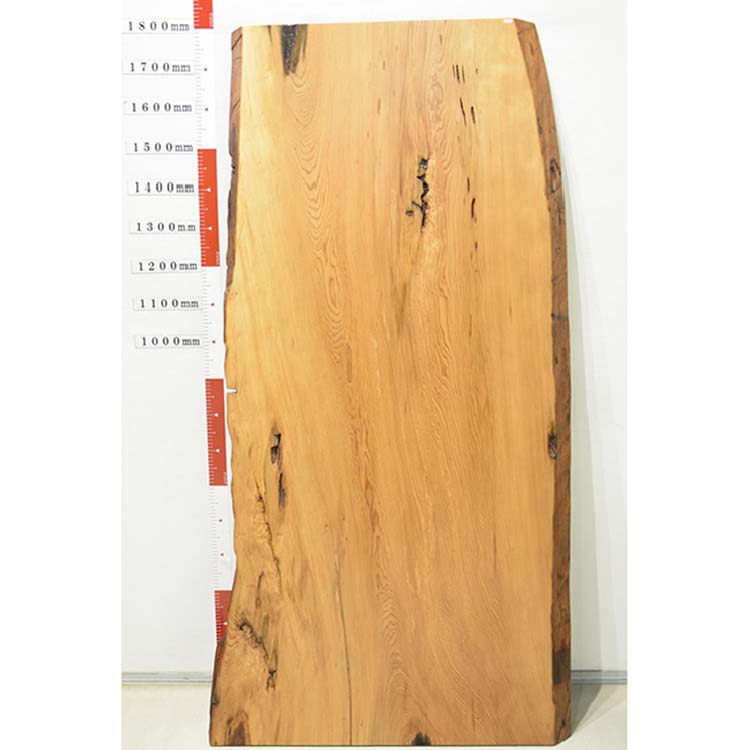 屋久杉台座のみ bfaa19c14c802205f006c53153ef9e