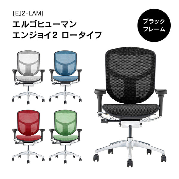 エルゴヒューマン エンジョイⅡ ロータイプ