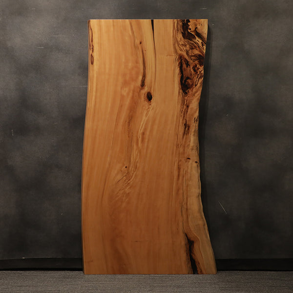 超良品。カツラ本株立ち2.6M(鉢底から)品番A 一枚板 カツラ / 桂 K-HN-2306-613 (W200cm)