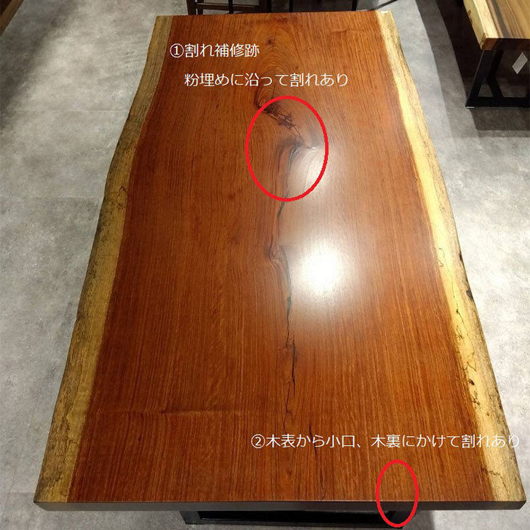 木裏　状態一覧