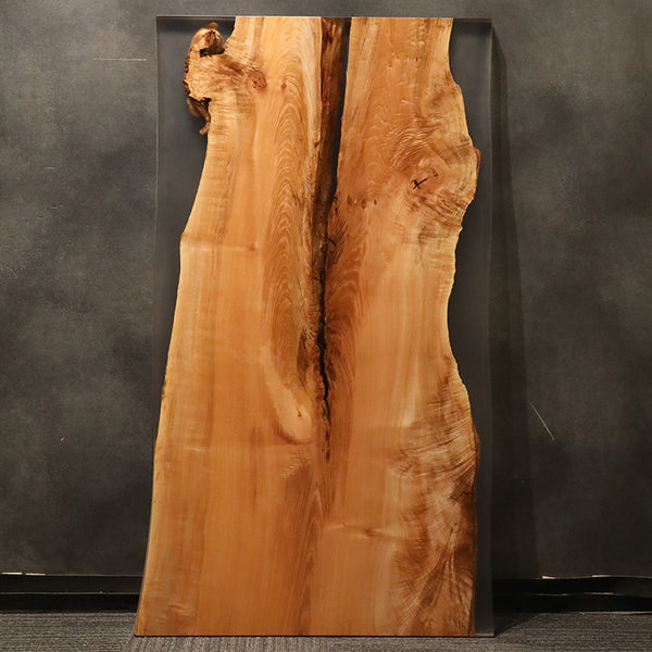 【SOLD OUT】RESIN　ビッグリーフメープル　337-6-2　(W160cm)