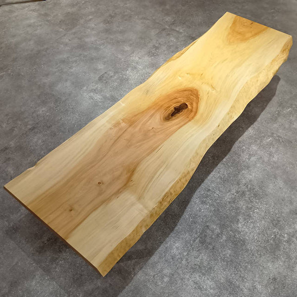 一枚板　トチ / 栃　67-18　(W170cm)