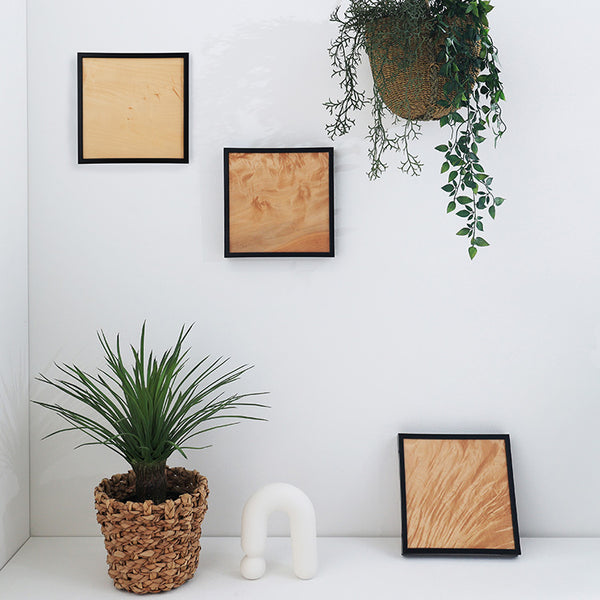 木製アートパネル（トチ）　3枚セット