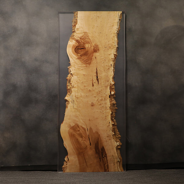 RESIN　トチ / 栃(杢)　K-CN-2106-4　(W260cm)