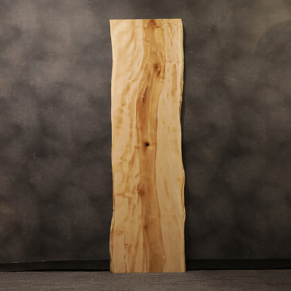 一枚板　トチ / 栃　K-GM-2204-1566-1　(W240cm)