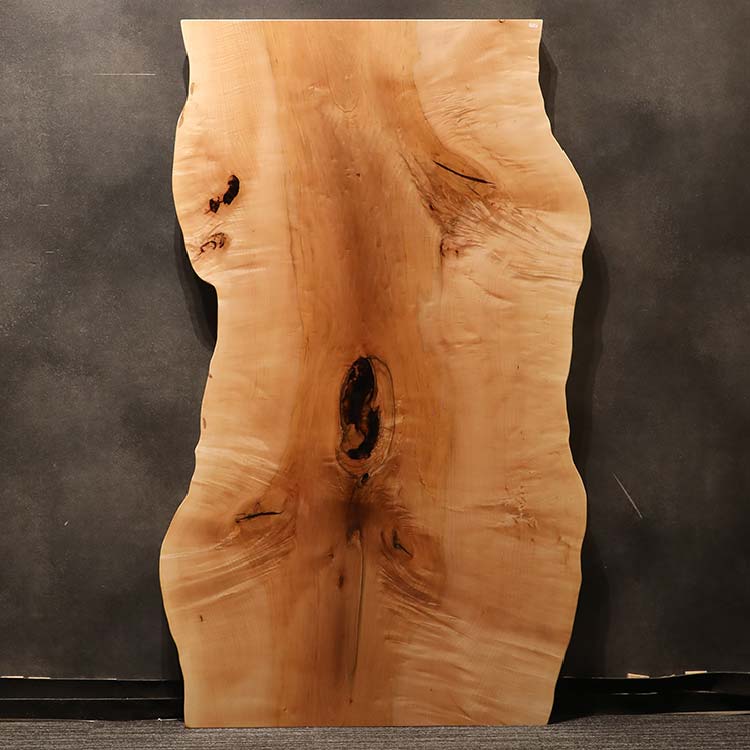 裏の画像