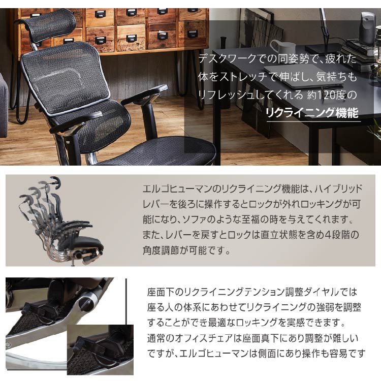 □ エルゴヒューマンベーシック オールメッシュ ヘッドレストなし