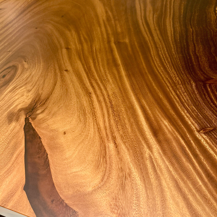 一枚板　モンキーポッド(杢)　5008-9　(W180cm)