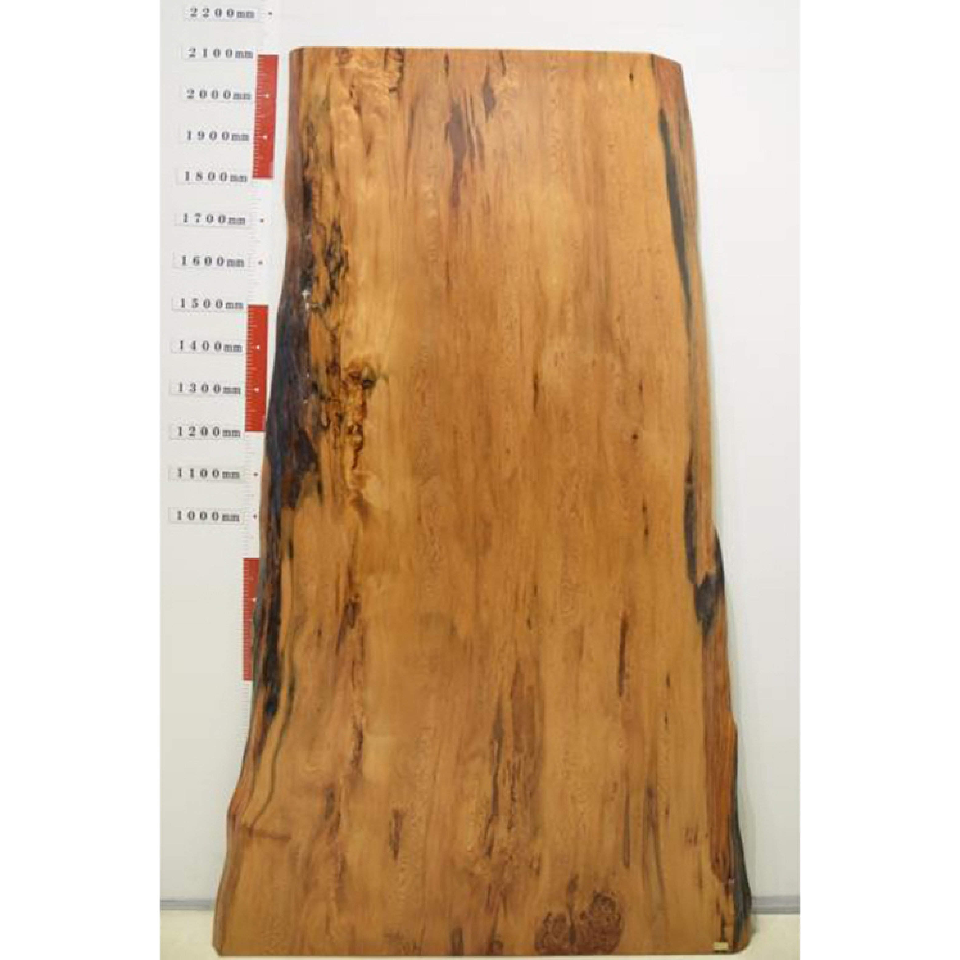 一枚板 屋久杉 RP-CN-A1166-2911 (W210cm): ダイニングテーブル 一枚板 