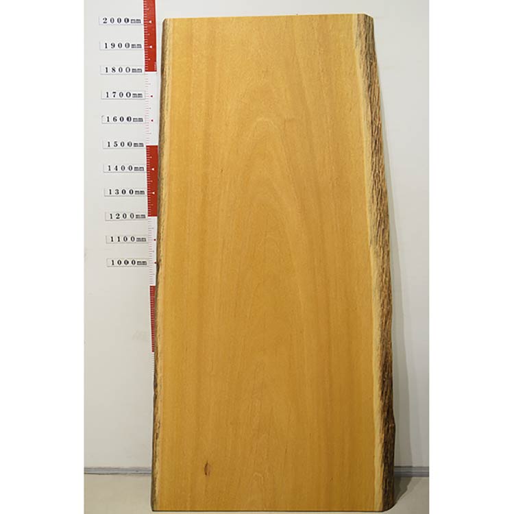 一枚板　モビンギ　131029-3701-3　(W200cm)　アウトレット品
