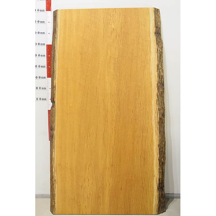 一枚板　モビンギ　131029-3712-2　(W180cm)　アウトレット品