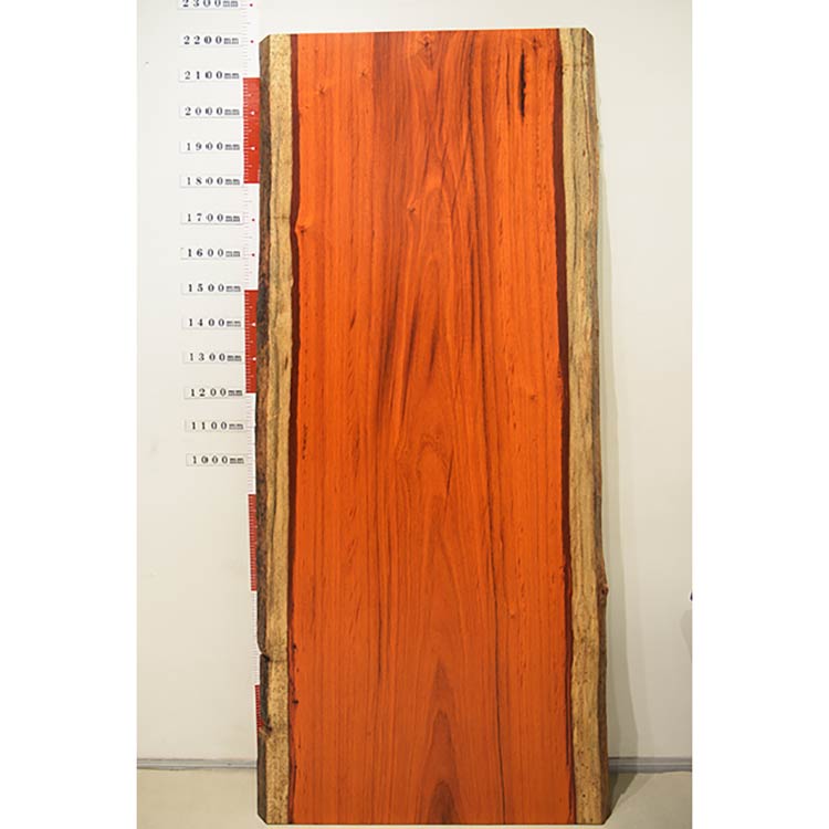 一枚板　パドック　1005-1/2-7　(W220cm)