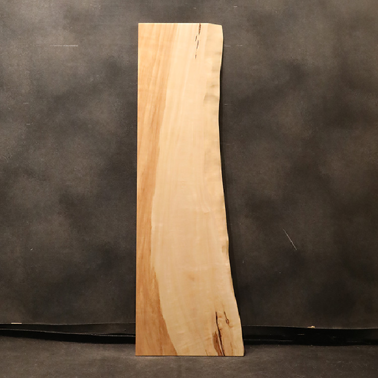 一枚板　トチ　341-5-1　(W160cm)