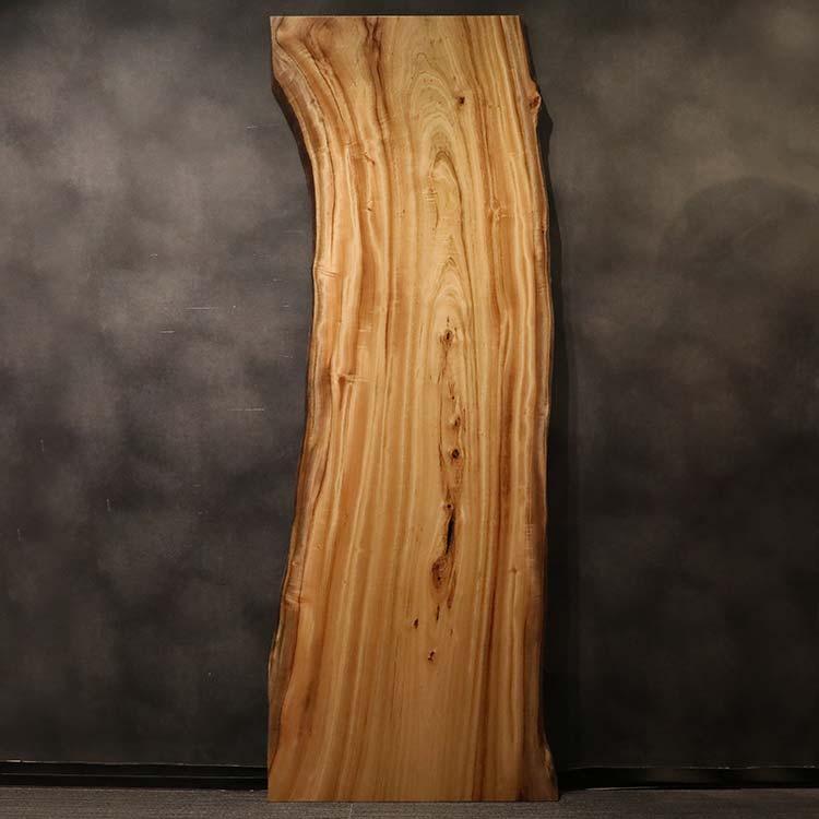一枚板　クス / 楠　2138-4　(W300cm)