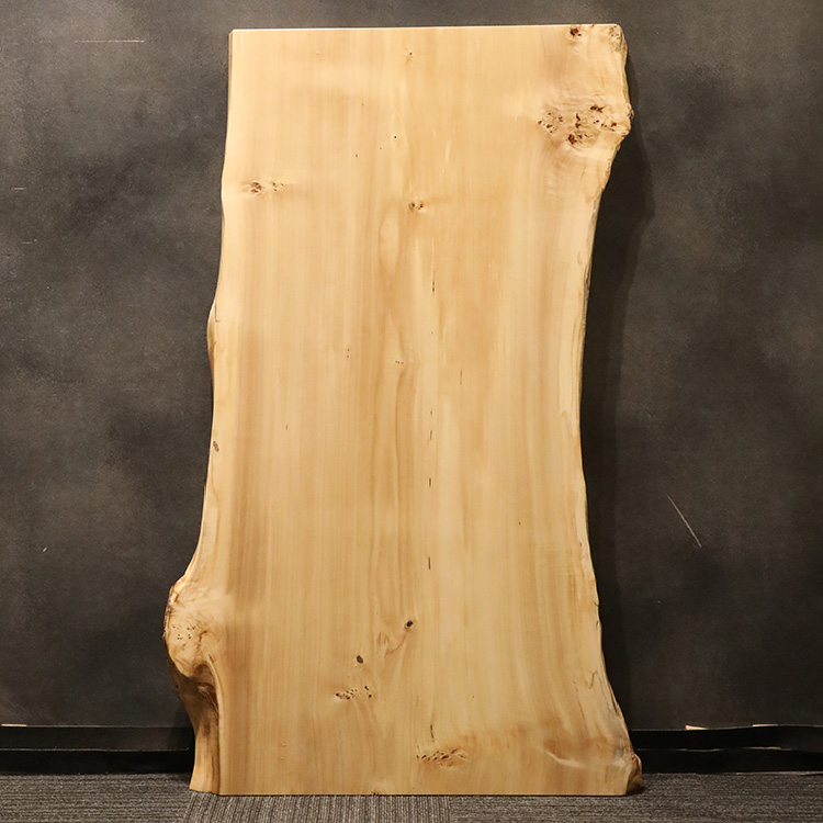 一枚板　ポプラ　203-5　(W150cm)
