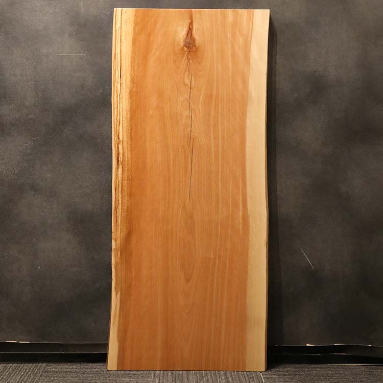 一枚板　マカバ / 真樺　5395-5-2　(W170cm)