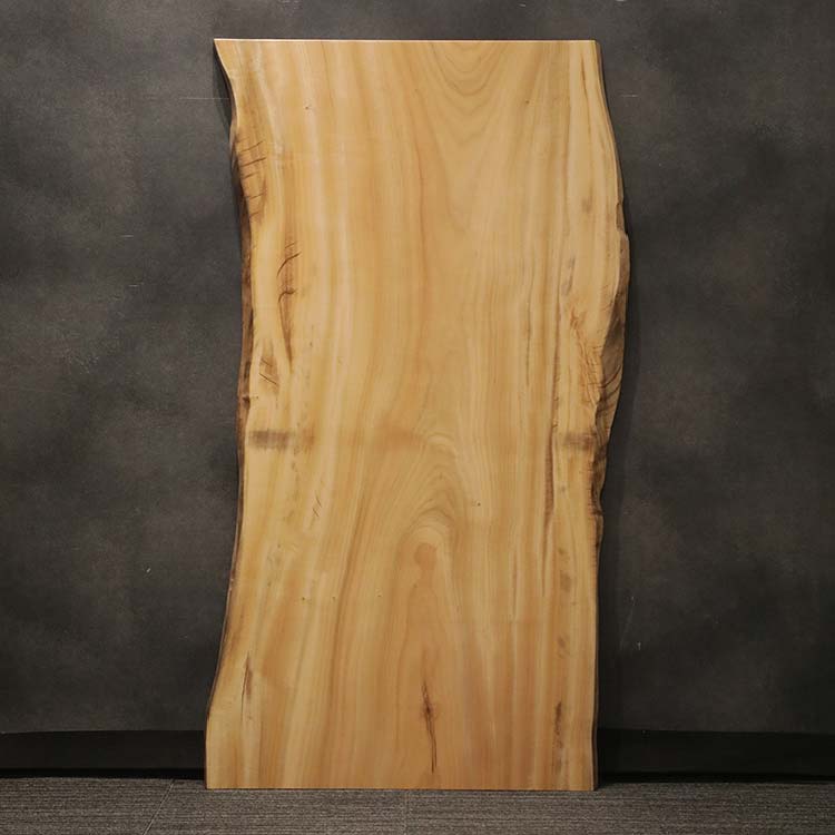 一枚板　クス / 楠　5441-5　(W160cm)