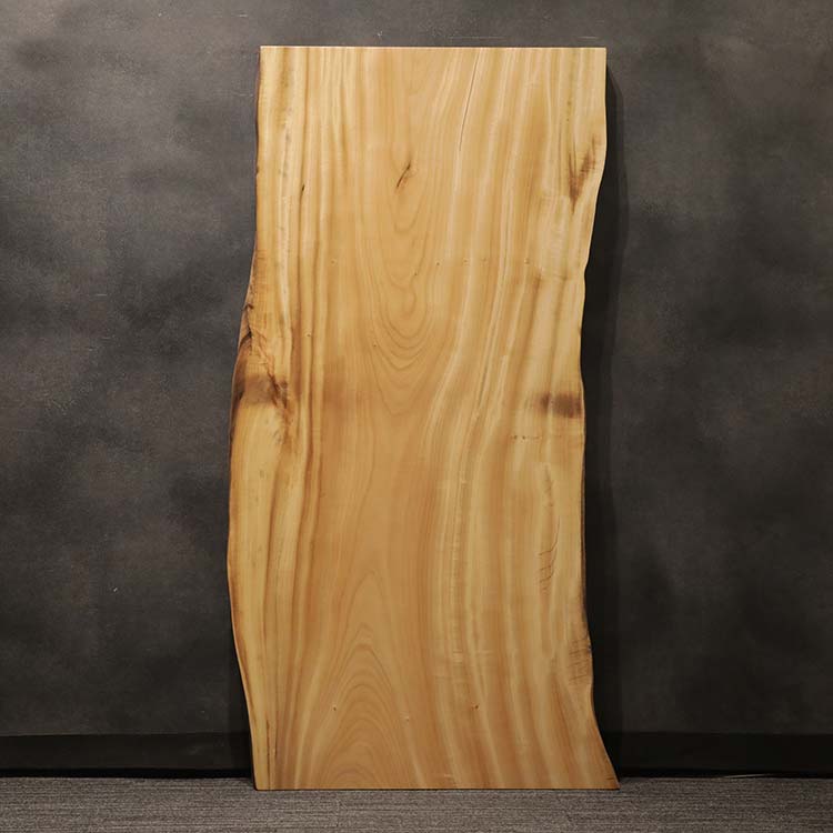 一枚板　クス / 楠(杢)　5441-6　(W180cm)
